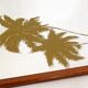 Wall mirror décor golden coconuts