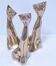 Three cats brass massive design 80s