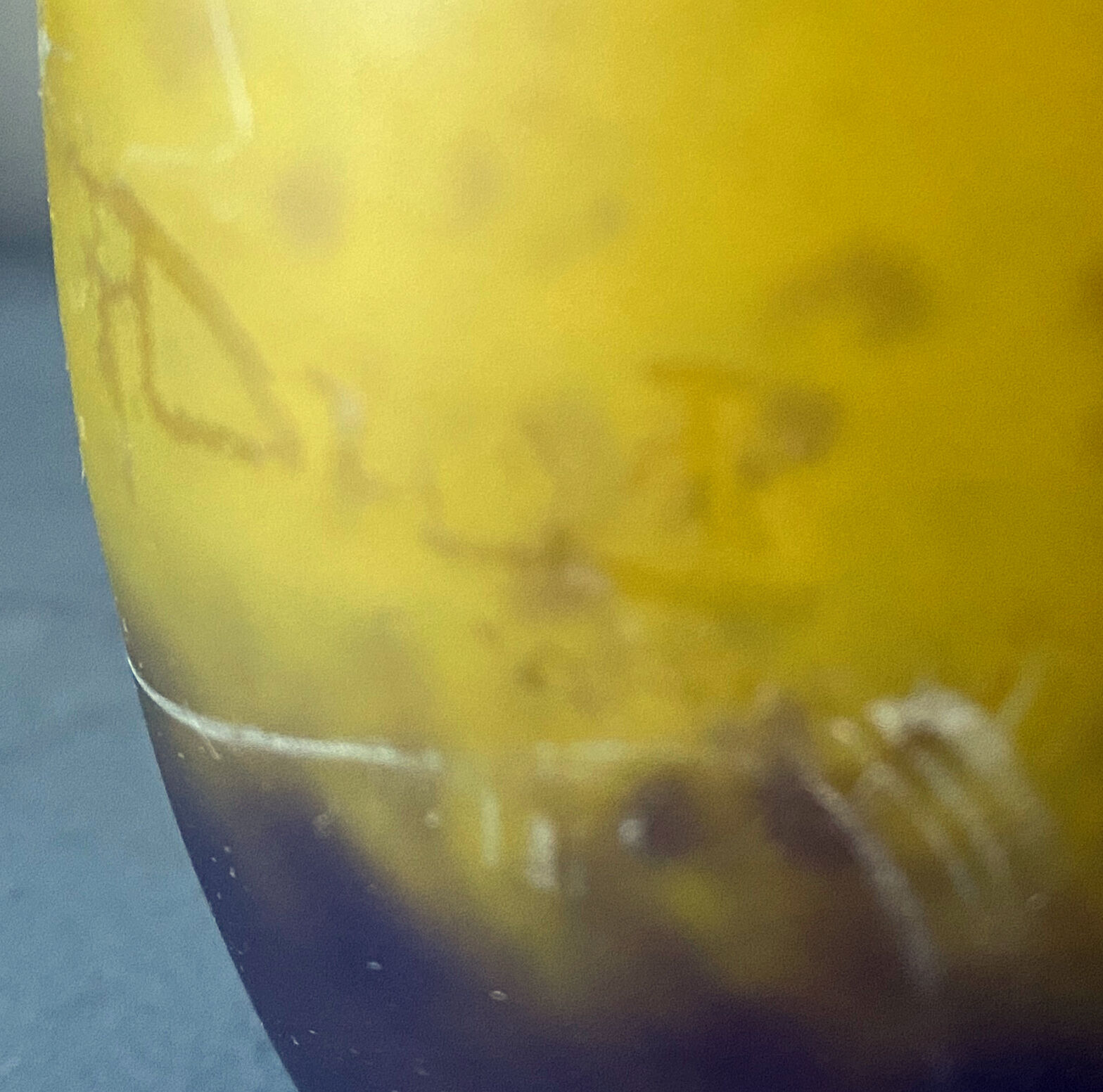 Vase in glass paste by Delatte