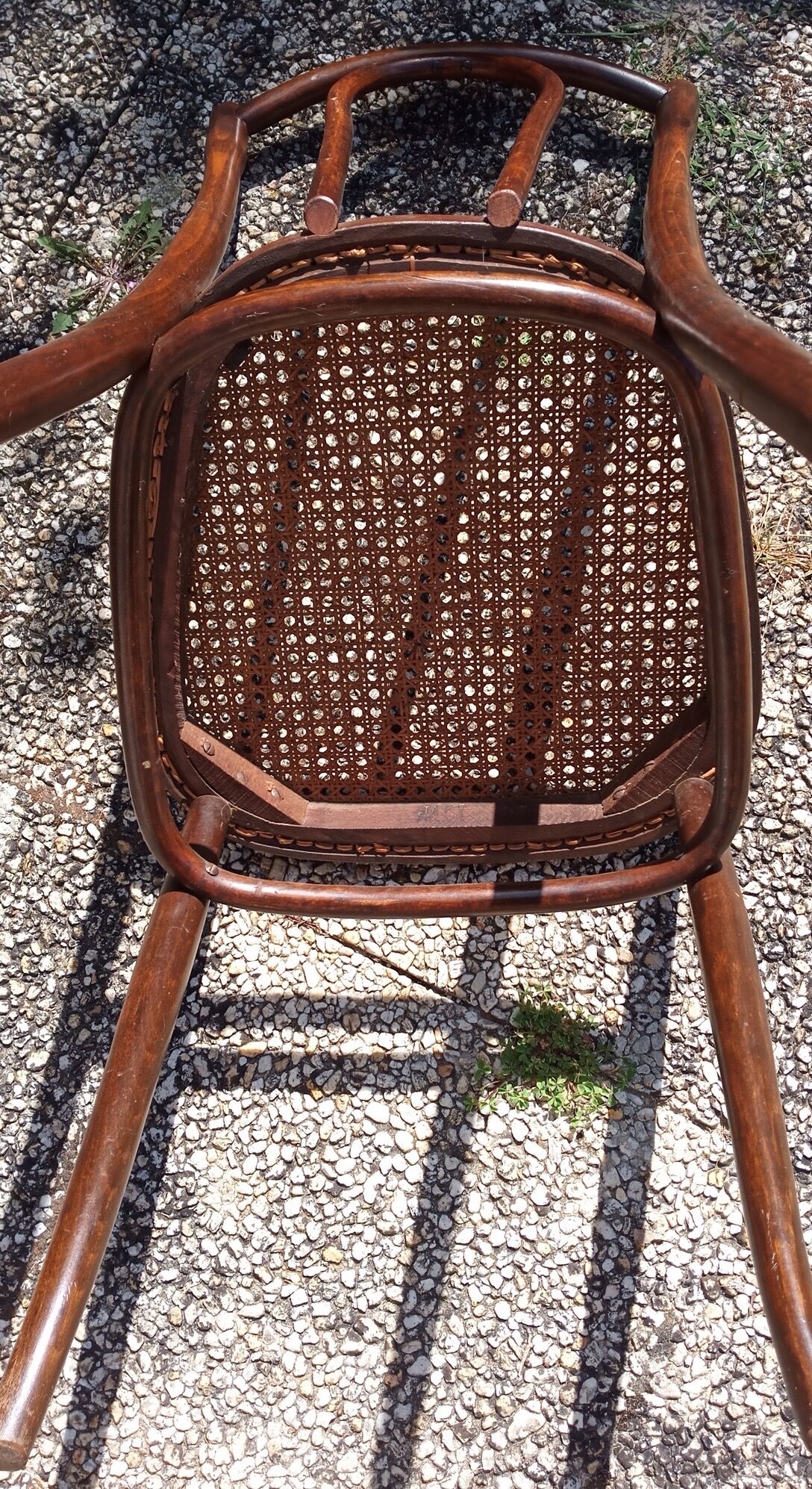 Bistro chair japy curved wood & old cannage