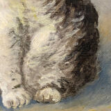Cat portrait