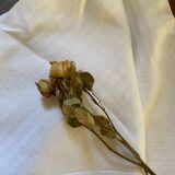 Old winegrower's tablecloth.