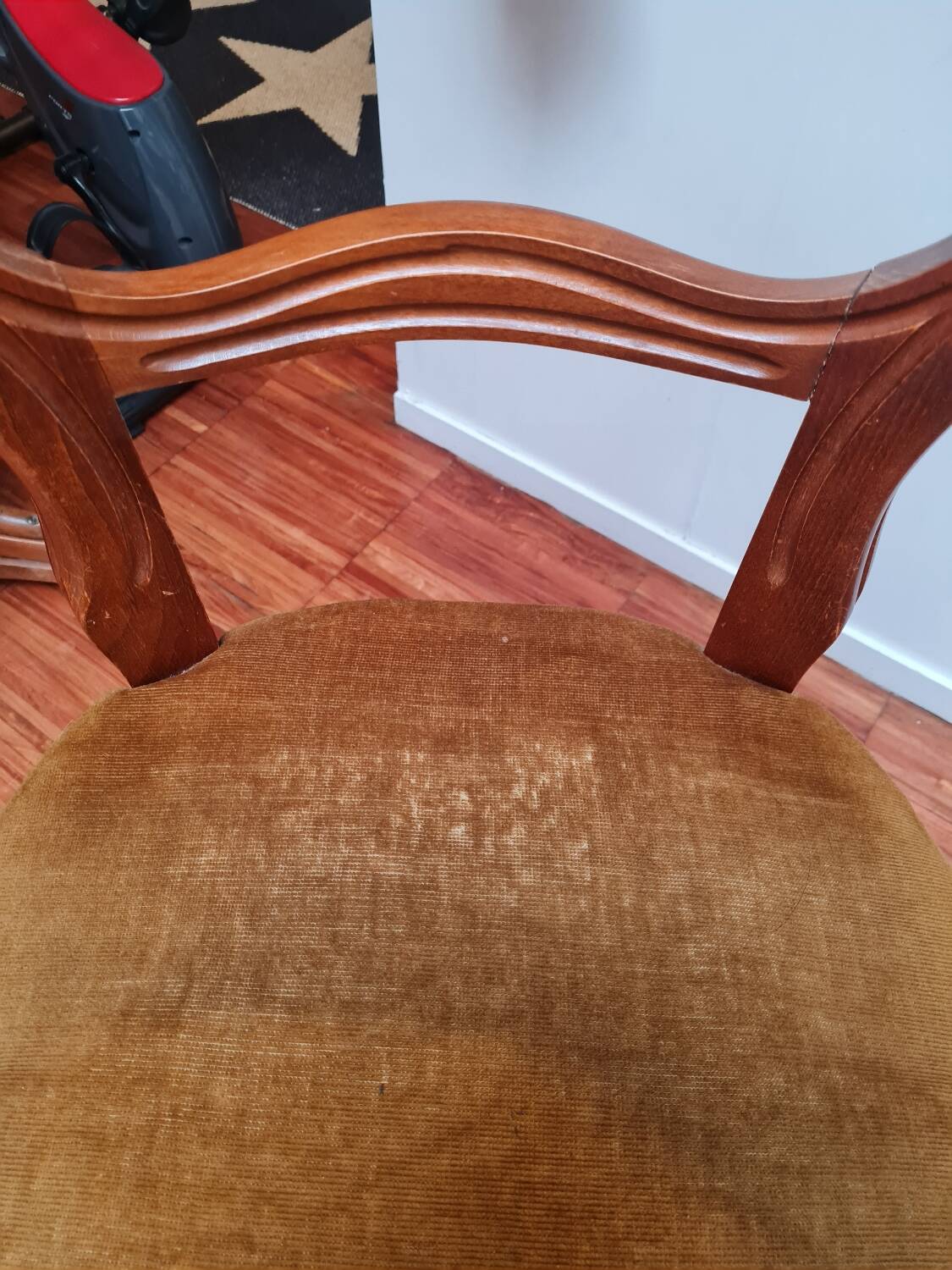 Pair of wooden chairs with velvet seats