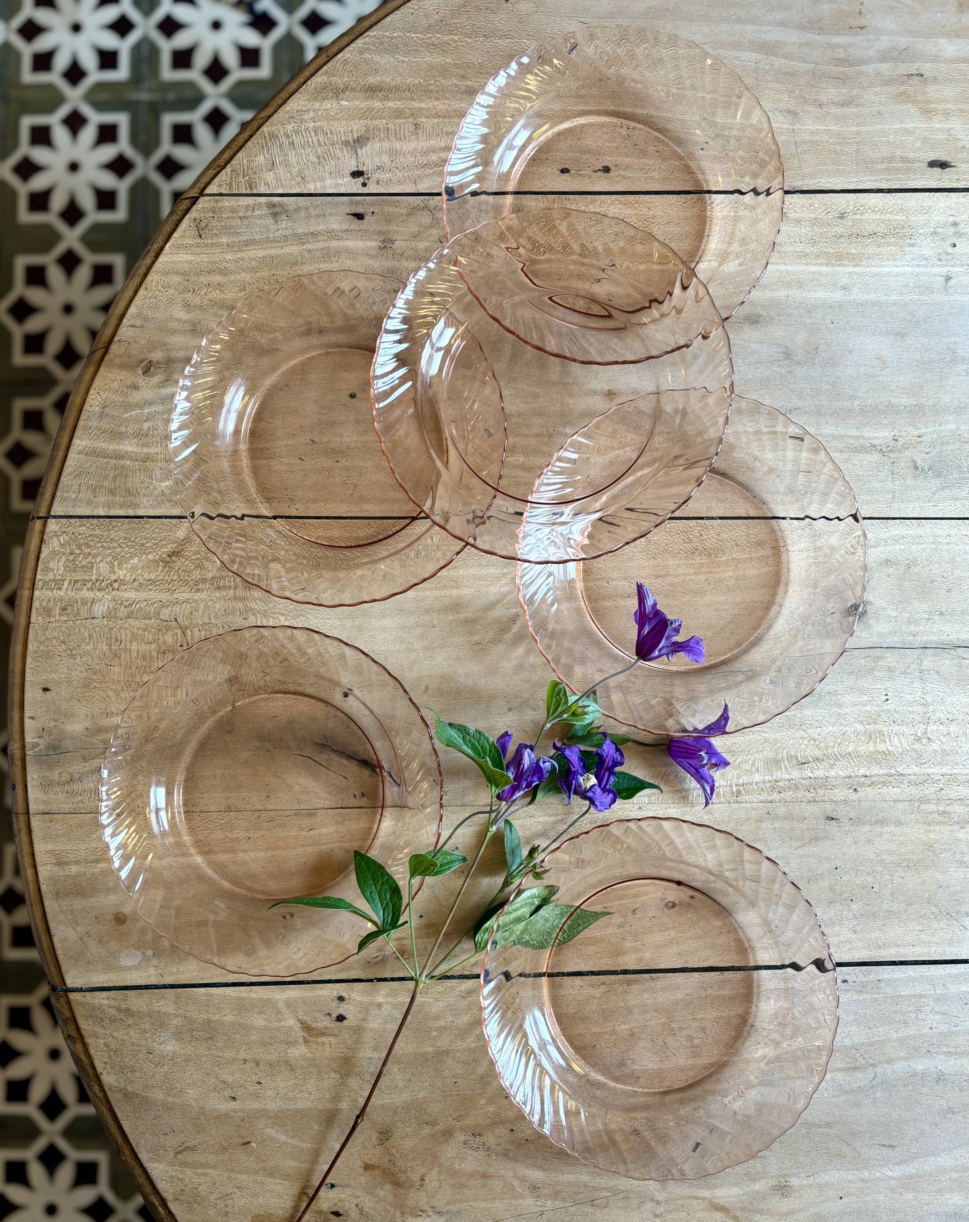 Set of 6 vintage Arcoroc rosaline soup plates