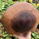 Olive tree cup by Tony Bain, Vallauris