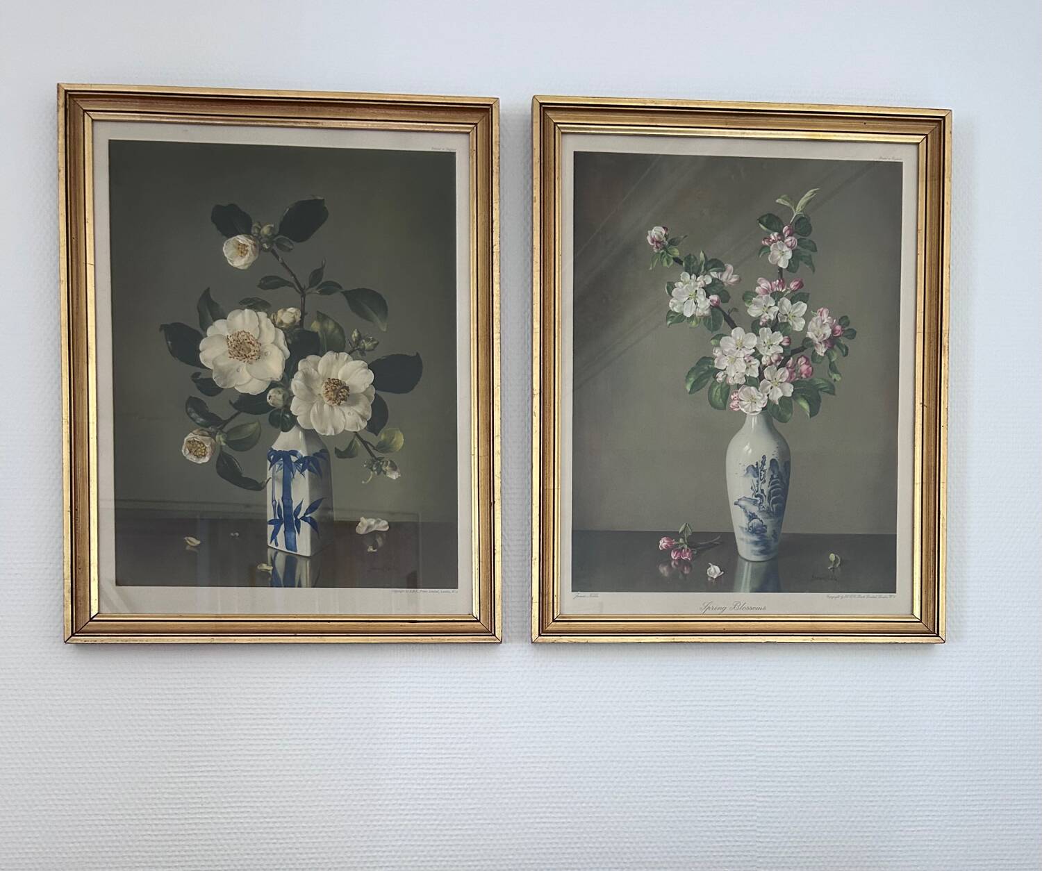 Reproductions florales de James Noble