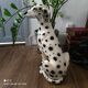 Chien céramique années 70