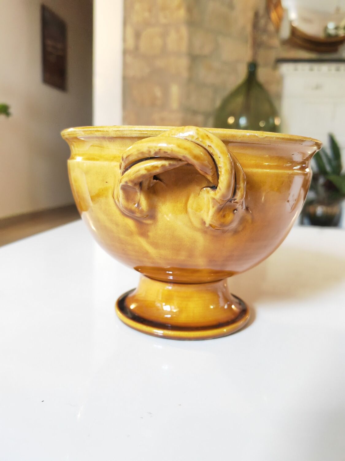 Coupe Aegitna Vallauris