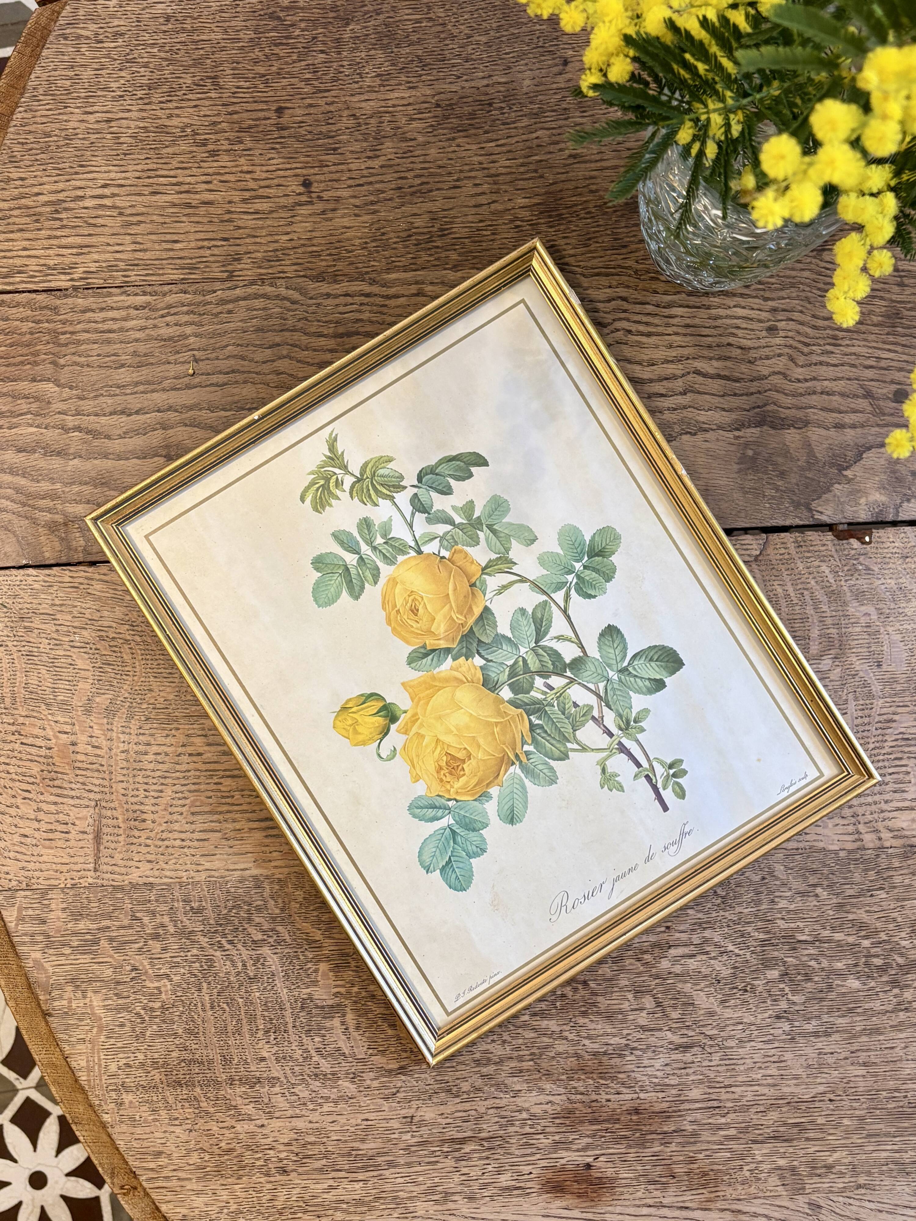 Old frame pink yellow Dreaded