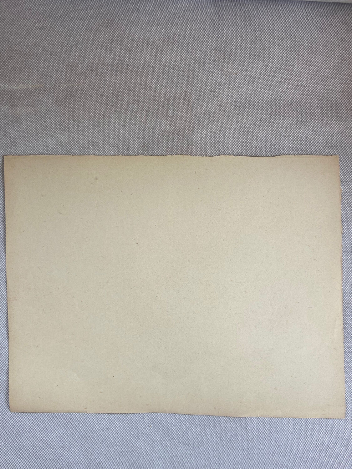 Drawing of female nude