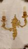 bronze wall light signed Petitot