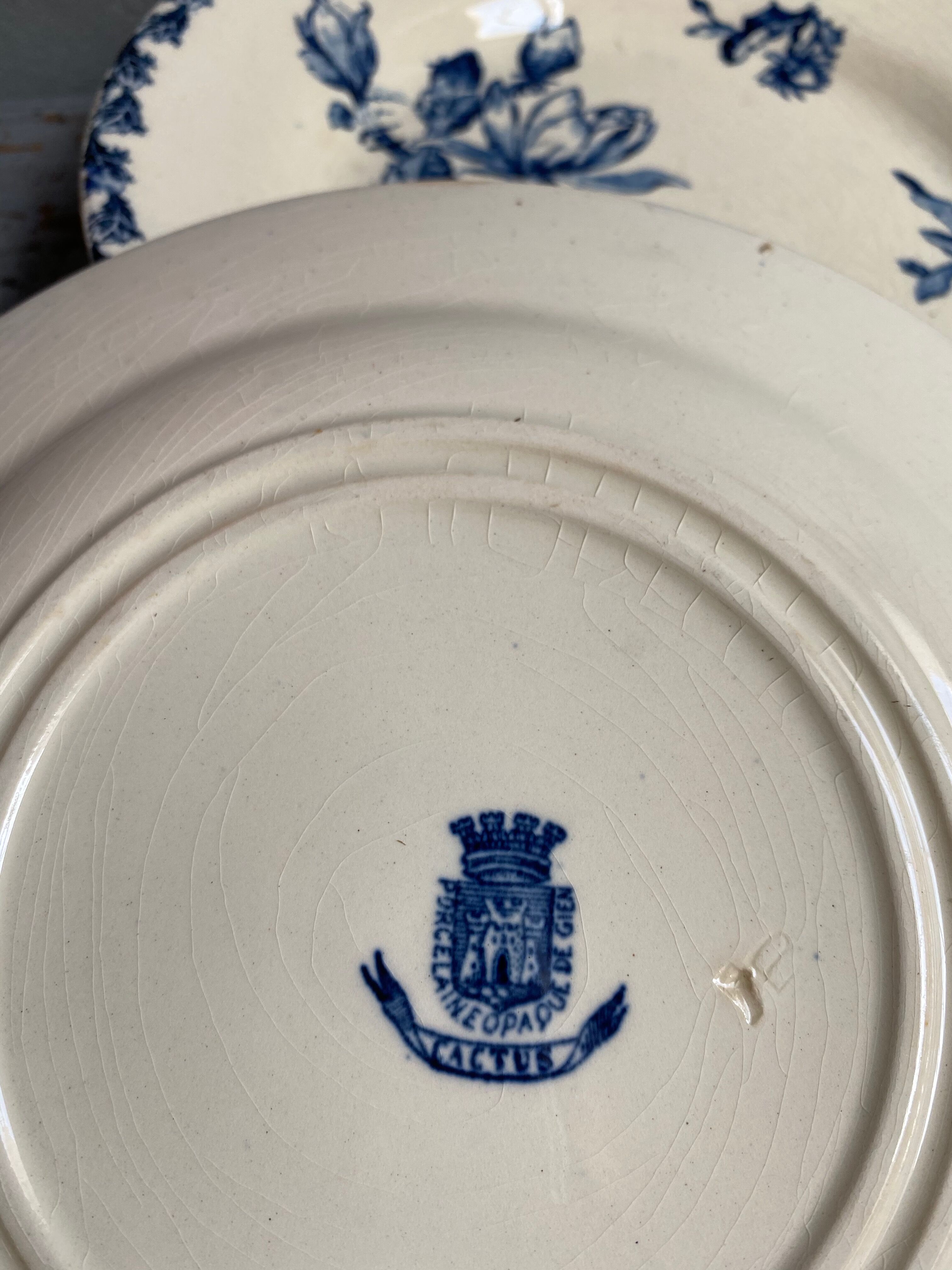 Gien 'Cactus' porcelain plates