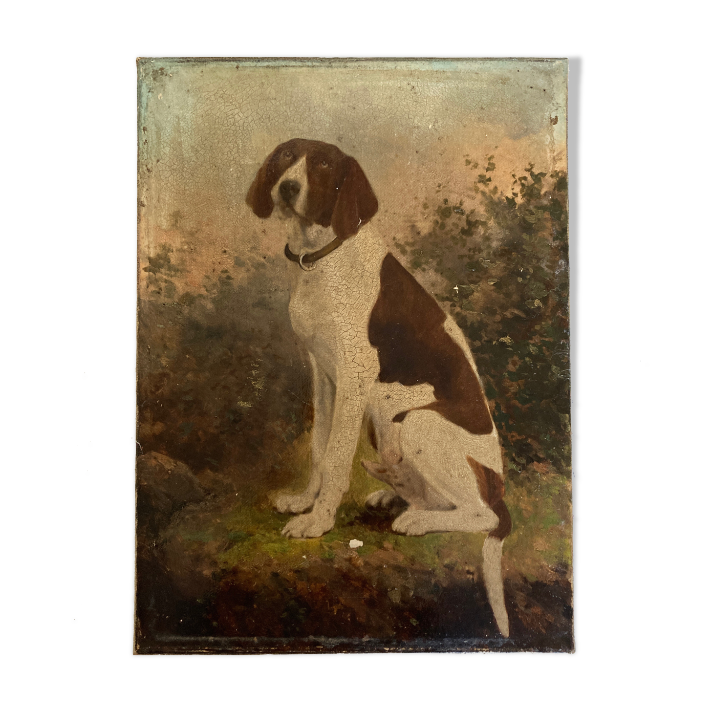 Portrait of country dog oil on canvas 1900