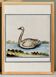 Small poster about the swan, after an old engraving from 1610.