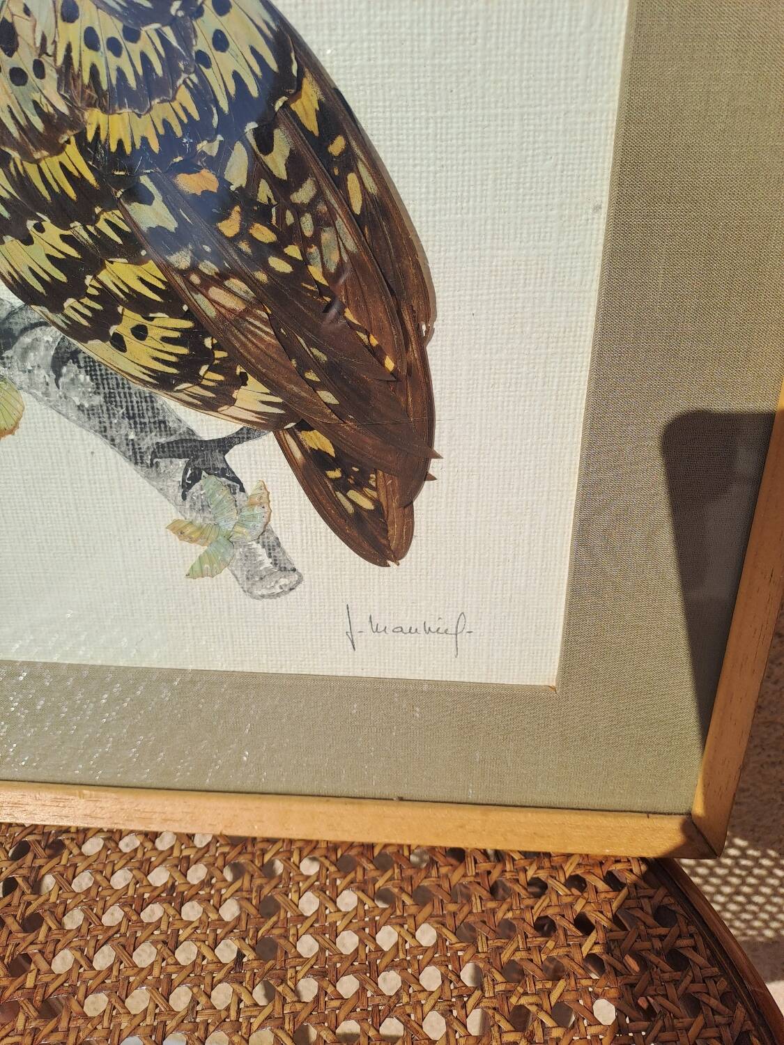 Framed tableau under glass, owl with butterfly wings.