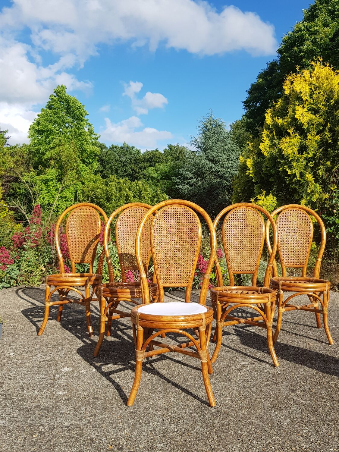 Lot 5 rattan chairs and canning 70s