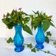 Duo molded glass vases