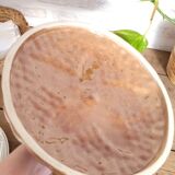 Barbotine pie dish