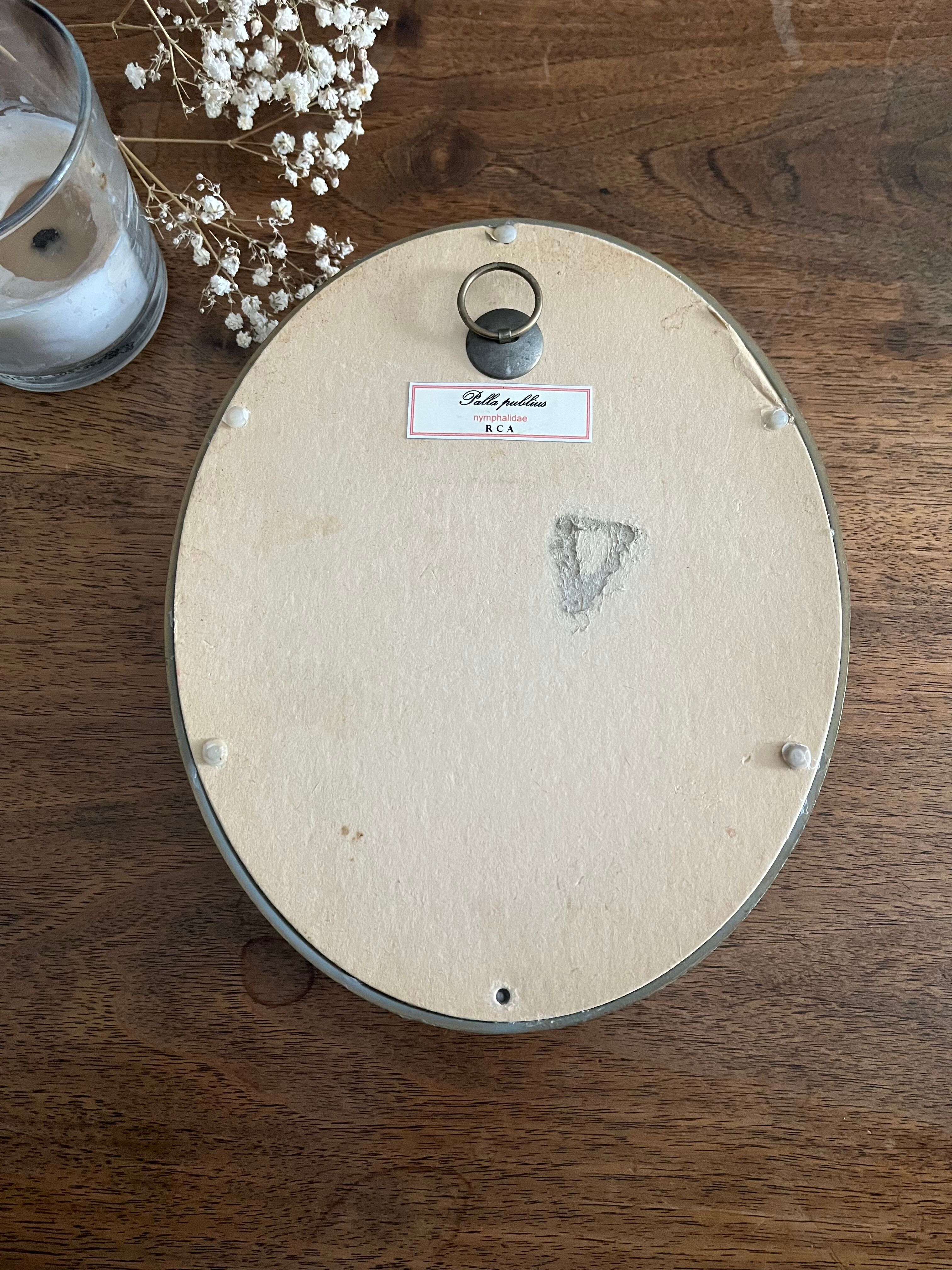 Butterfly frame naturalized curved glass