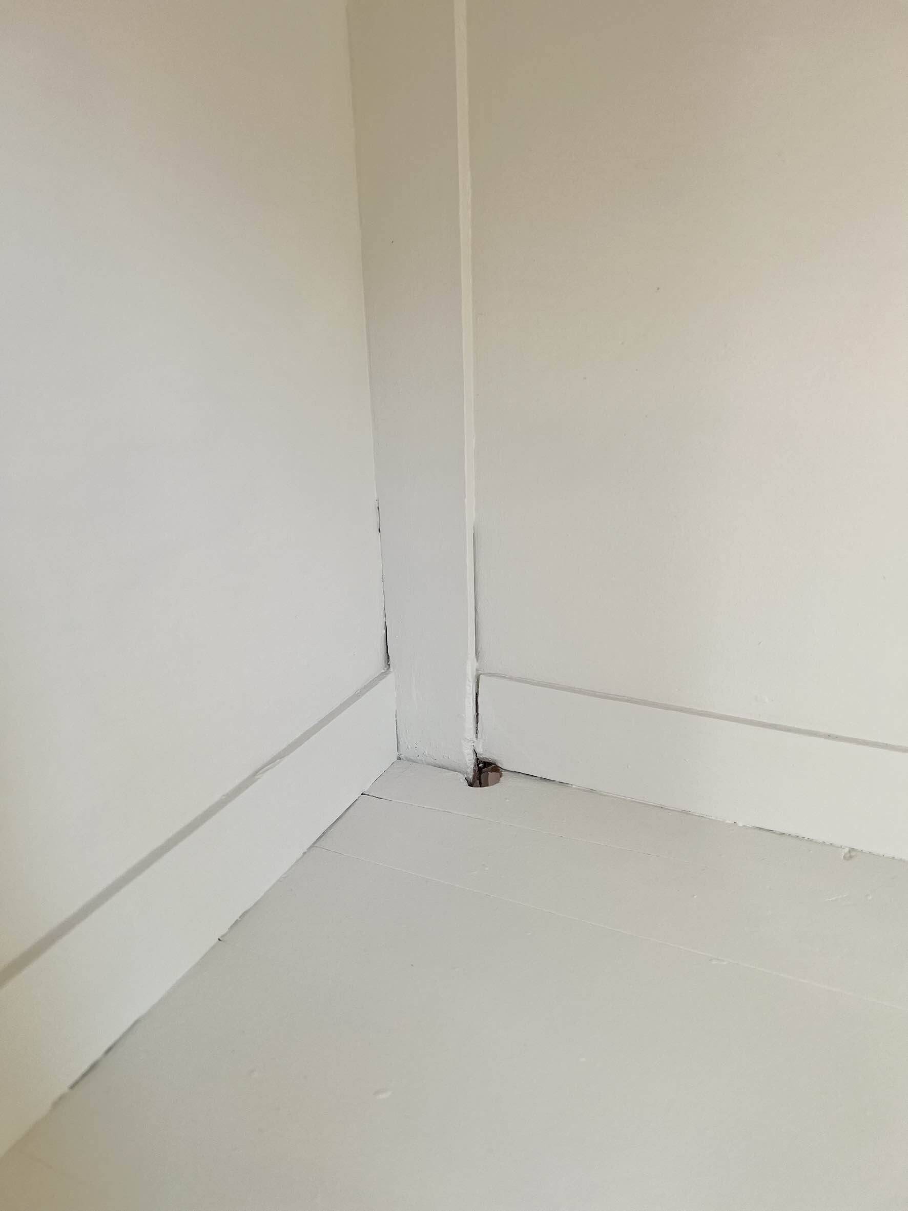 Authentic Parisian wardrobe