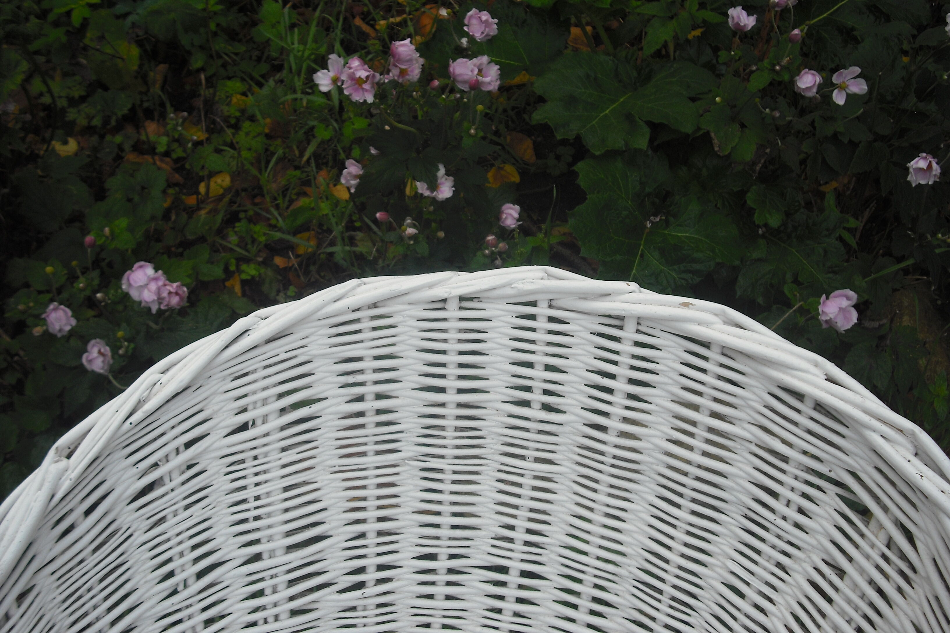 Pair of rattan basket chairs