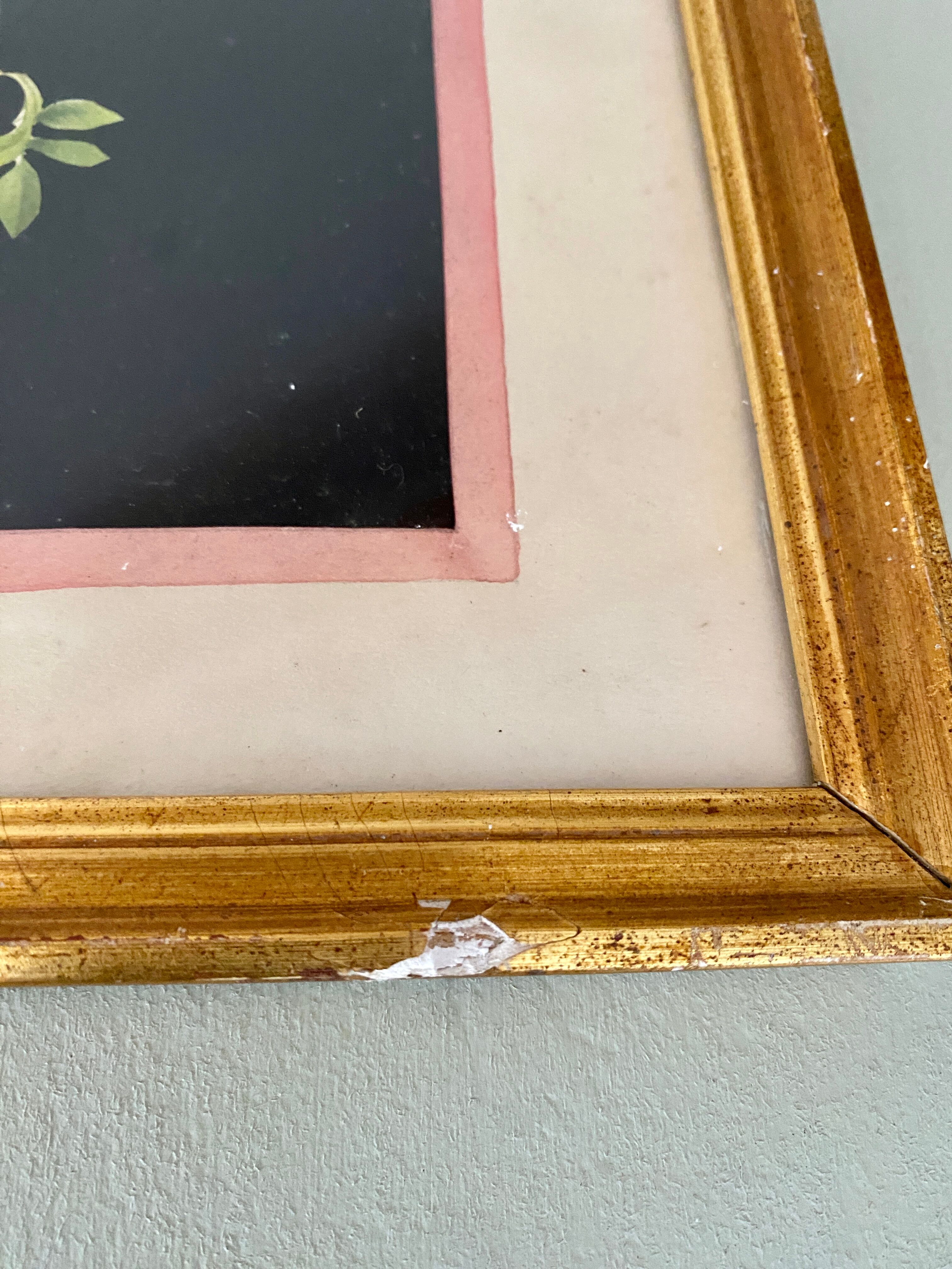 Framed poster vintage pinks yellow feared