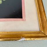 Framed poster vintage pinks yellow feared