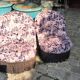 Pair of frog chairs