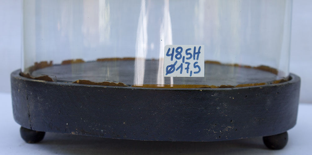 Antique round glass globe 48.5 x 17.5 cm