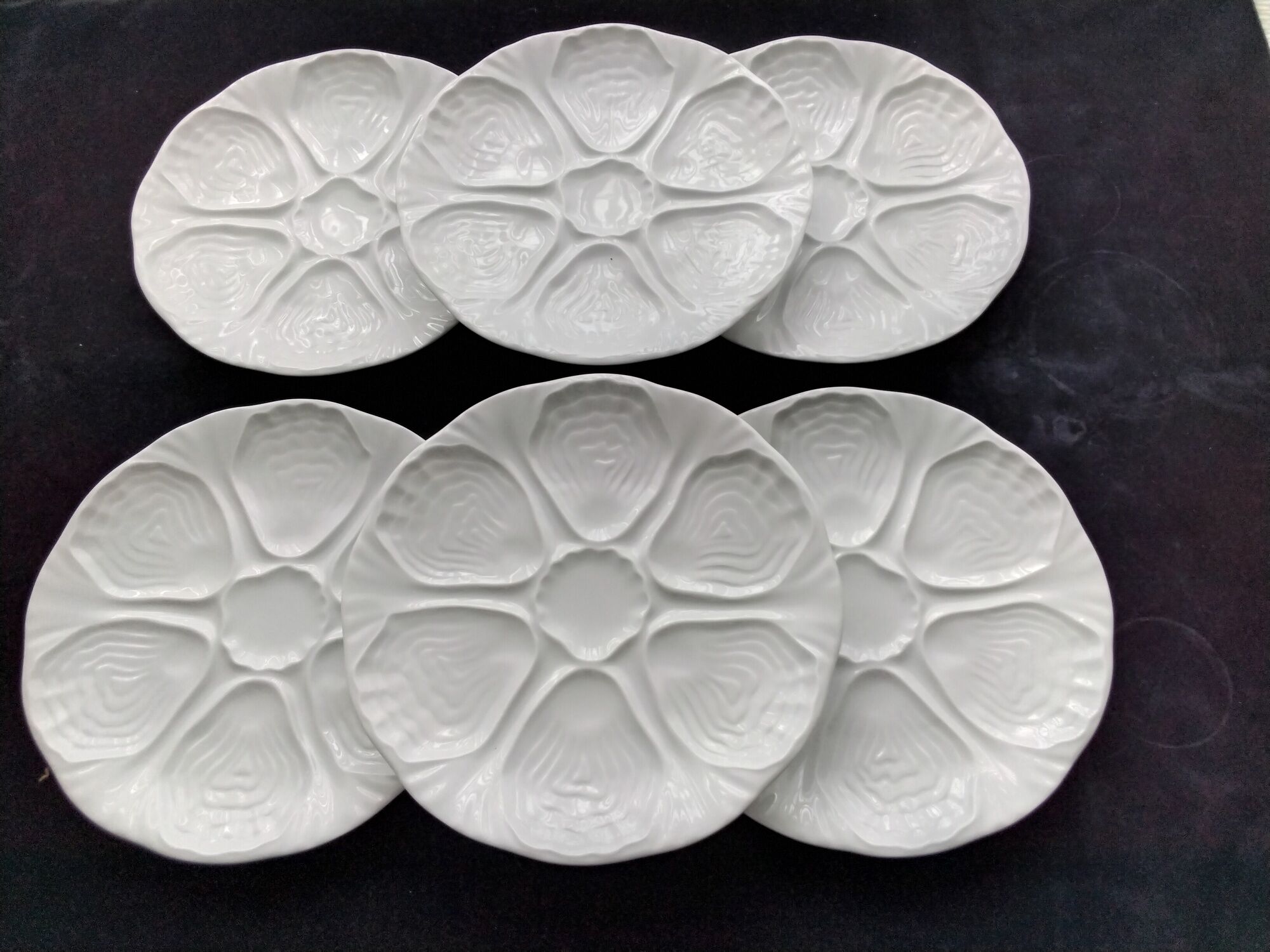 6 Oyster plates in white Limoges porcelain
