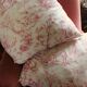 Paire Coussins Toile de Jouy rose ancienne