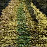 Green scandinavian modernist design wool rya rug woven handmade vintage 1960s