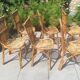 6 chaises en rotin