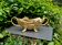Planter signed Claude Bonnefond (1868-1936) Art Nouveau