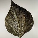 Floor lamp "Foglia" by Tommaso Barbi