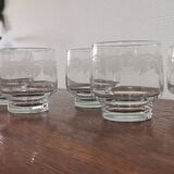 Set of 6 glasses crystal water, grape decoration and vine shoot Luminarc