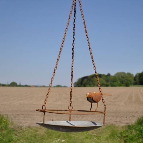 Bird bath to hang in iron