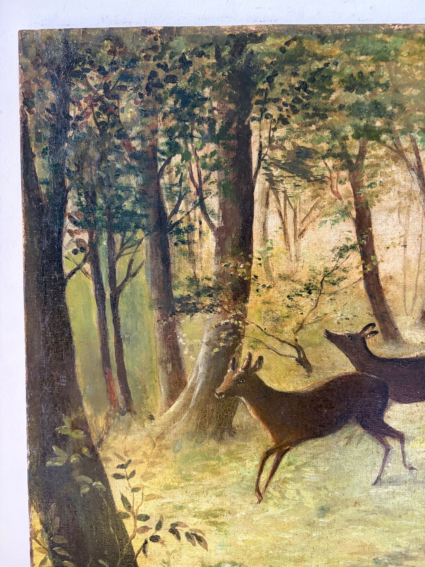 Clearing with five deer, oil on canvas signed F Hari Fourchon