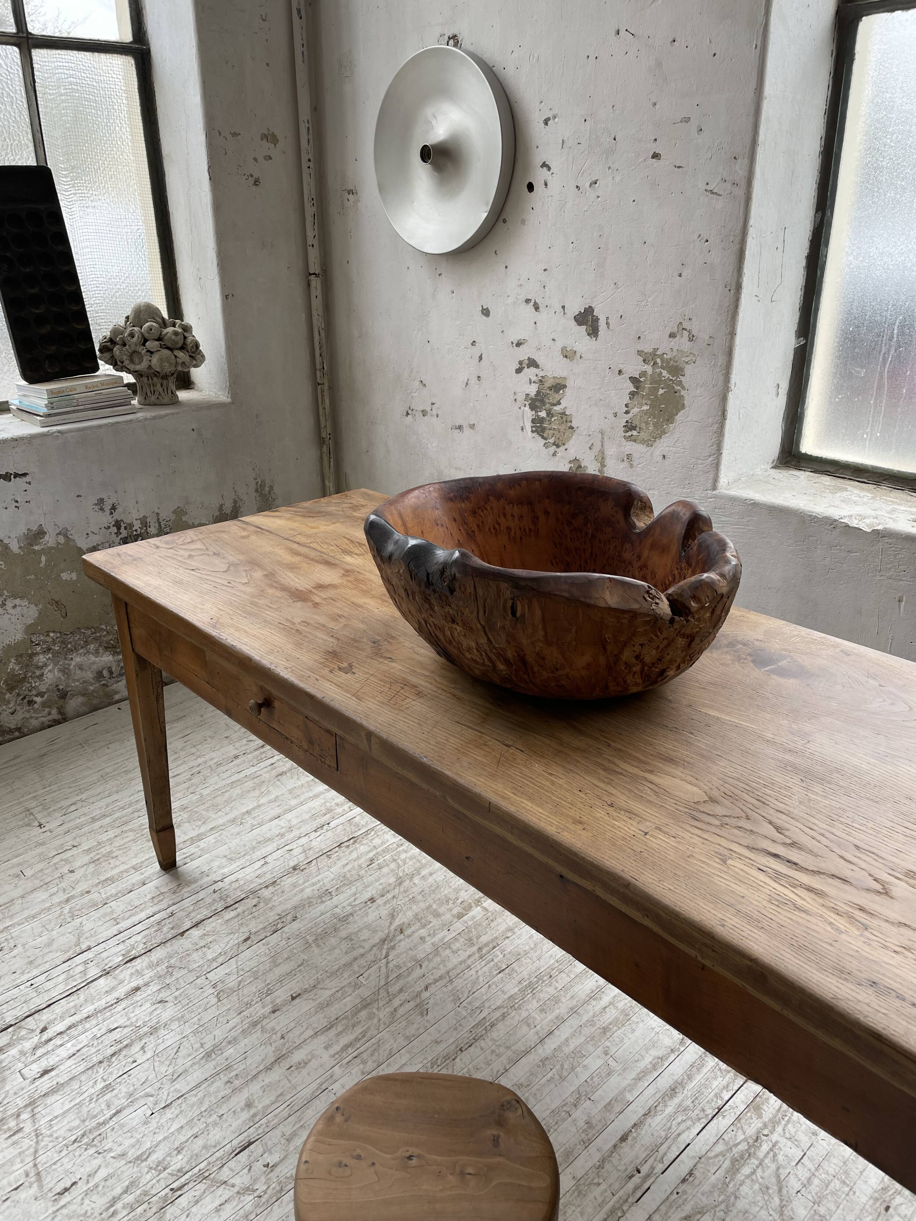 XL thuja root wooden dish