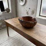 XL thuja root wooden dish