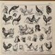 Lithographie gravure sur le coq de 1897