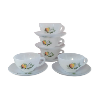 Series of 5 cups and under cups Arcopal summer fruit decoration