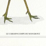 Lithograph engraving chimera animal - the cariapocampus