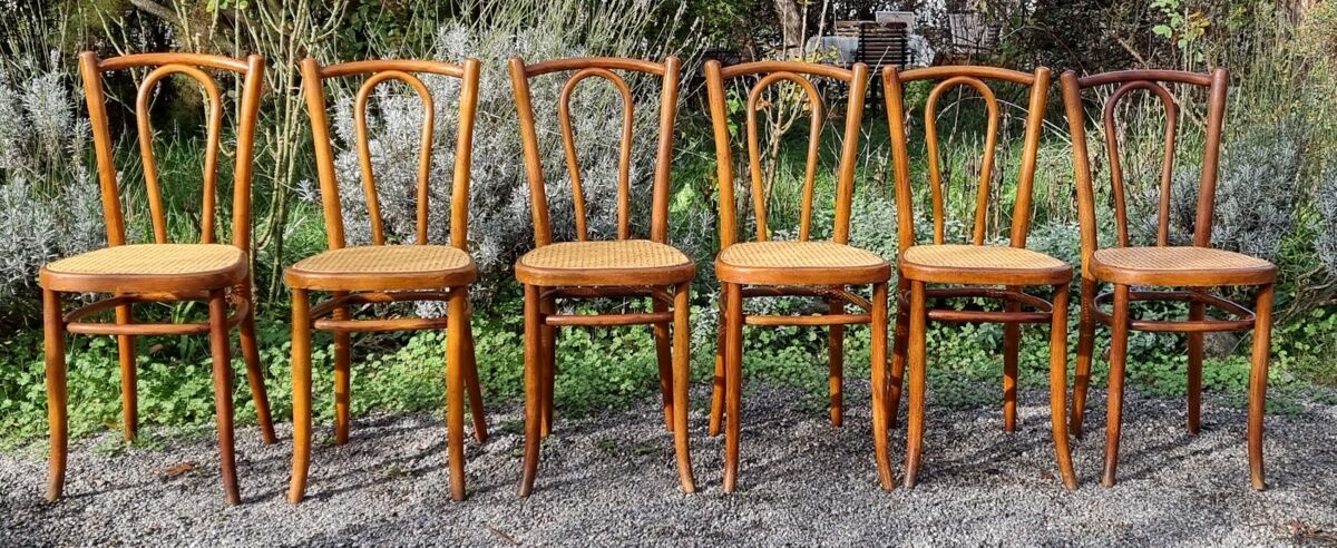 6 chaises Baumann n°42 1/2 années 20
