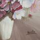 Oil on Canvas Still Life Flowers Cosmos Signed Jacqueline Besson