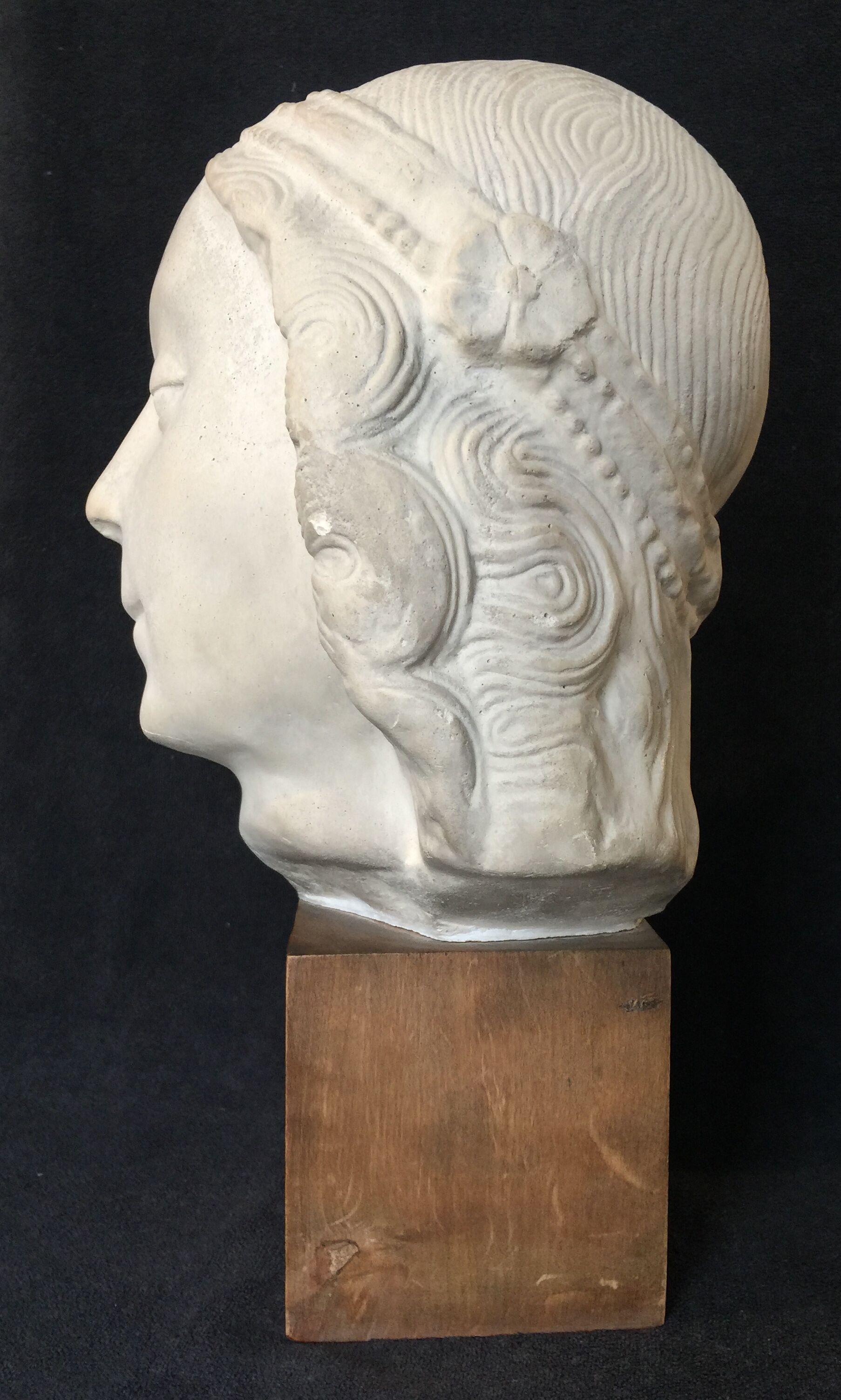 Bronze-middle-aged woman's head in plaster
