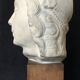 Bronze-middle-aged woman's head in plaster