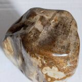 Free form sculpture in fossil wood