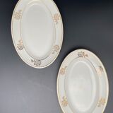 Small-flowered and smoothed silver raviers