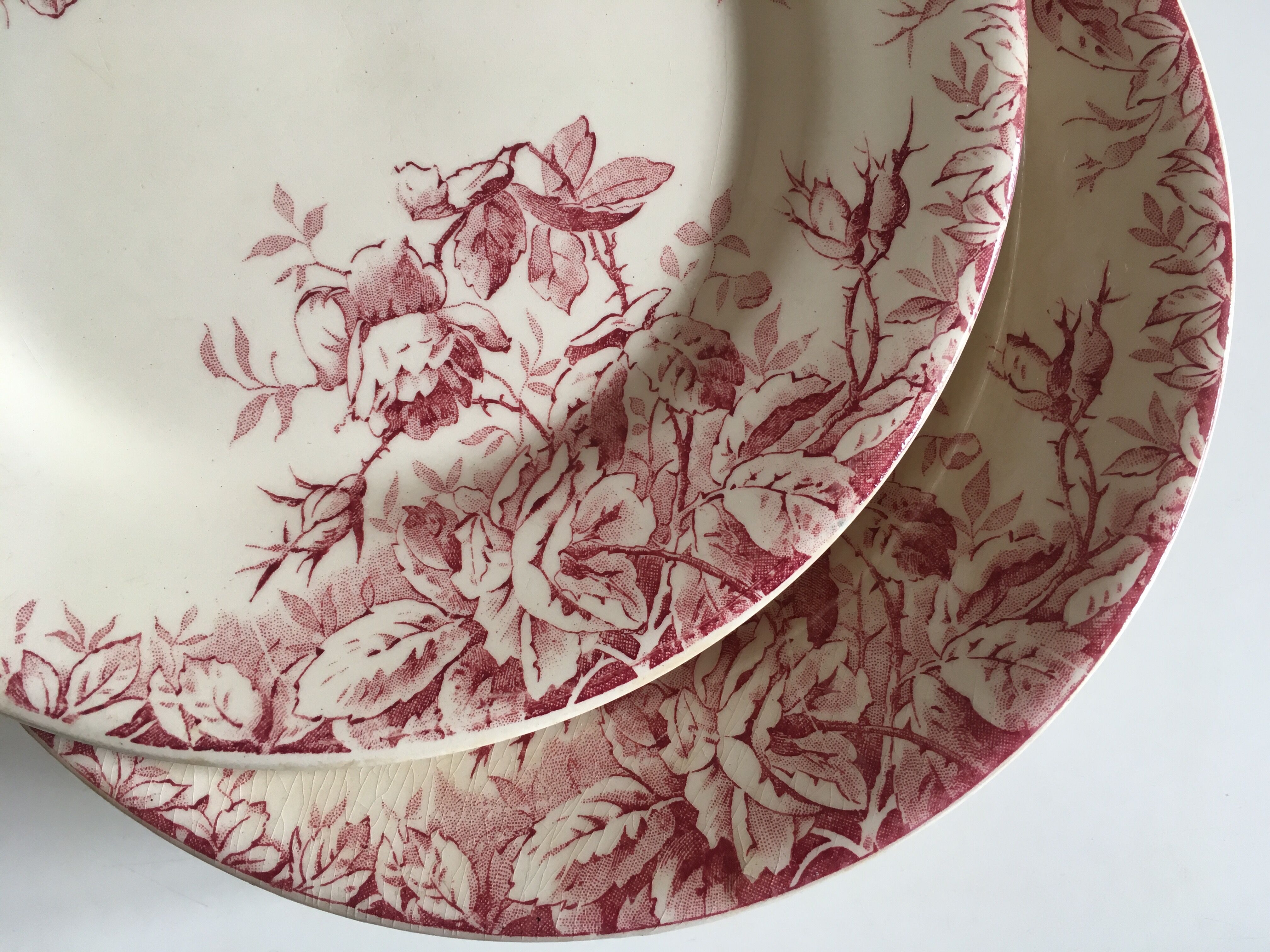 Series of 11 plates flat 19th in faience of Gien